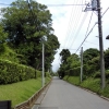 写真3　佐倉市武家屋敷通りの土塁と生垣