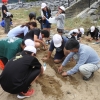 写真5　地元の小学校とともに行っている海浜植物再生活動