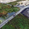 写真2　街が破壊されて出現した湧水湿地の植物群ドローン調査