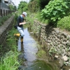 写真1　農業水路での水生植物の調査