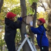 札幌市立新琴似北小学校で継続する「防風林教育活動」