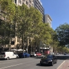 樹木の価値をつなぐ／緑の街をつくる－オーストラリアでの取組－