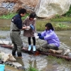 写真1　上西郷川と小さな自然再生の取組2