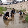 写真1　上西郷川と小さな自然再生の取組3