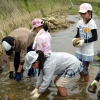 写真3　岩本川と小さな自然再生の取組3