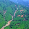 写真1　2017年の九州北部豪雨によって人工林で発生した崩壊
