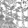 図4　『戯場訓蒙図彙』に描かれた植物1