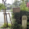 写真1　「市内最初の並木」の案内板と碑左は現在の街路樹エンジュ