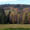 写真5　南ボヘミアの自然植生はヨーロッパブナの森であるが、ドイツトウヒの植林も広く分布する