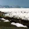 写真3　流氷着岸（昭和59年3月）