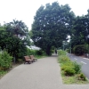 写真4　武蔵野の面影をいまに残すような都立狭山・境緑道