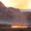 写真5　 アメリカ合衆国ユタ州の国有林における火入れによる生態系復元の様子