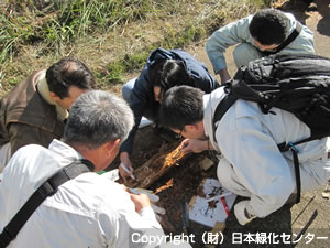 マツノマダラカミキリの観察実習