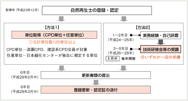 資格取得から更新までのフロー