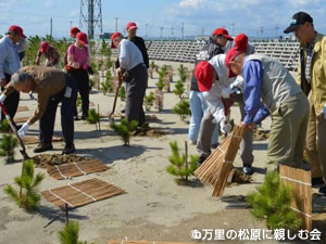 衝立簀による植栽
