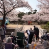 写真3　公園でリフレッシュする福祉施設入所者
（明石市松が丘公園）