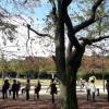 写真4　公園での筋トレ教室（東京都足立区花畑公園）