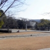 写真6　32年経過した森と美術館全景