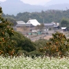 写真1　山ノ上集落の景観