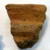 写真2　縄文時代中期の土器断面の圧痕から採取したダイズ属
