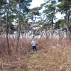 写真4　残存林の下草刈りを行う（2020年12⽉）