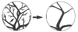t}