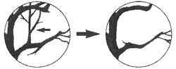 k}