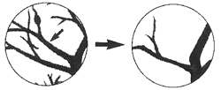s}