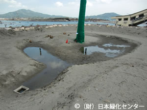 雨水の停滞状況