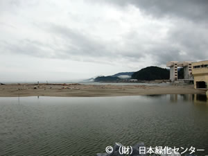 砂嘴に砂が戻る